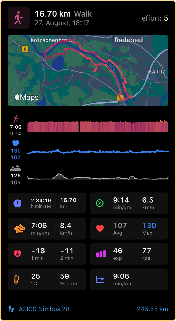 A Footworx card for a 16.70 km walk along the Elbe: the route, pace, heart rate and climb as three strips, the figures of the evening, and the pair of shoes it was walked in.